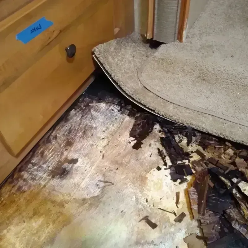 Wood Floor Water Damage in Manchester, MD